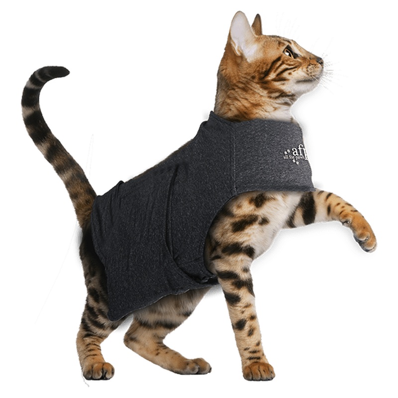 AFP Calming Pals-Cat Anti Anxiety Vest