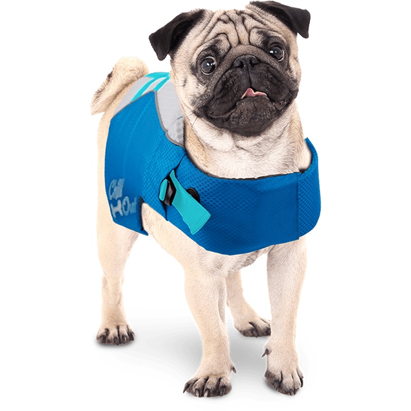 AFP Chillout-Dog LifeJacket