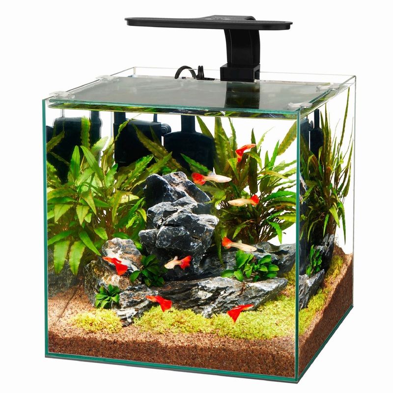 Aqueon Frameless Cube Aquarium, 6 Gallon