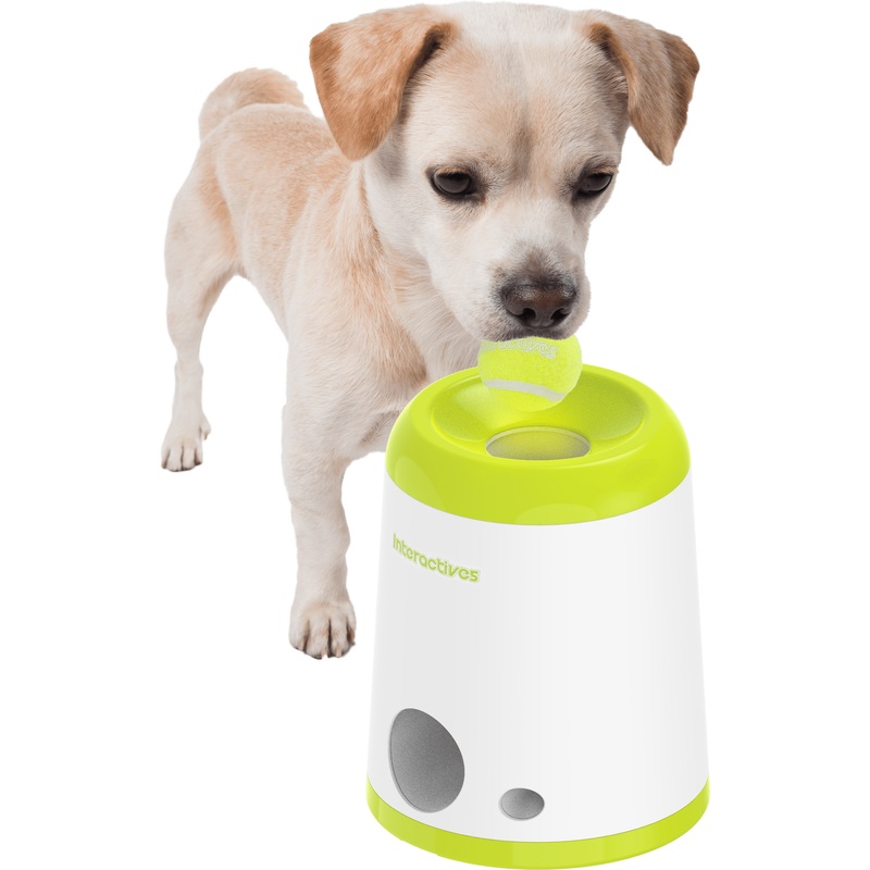 Afb Fetch & Treat -2Nd Generation