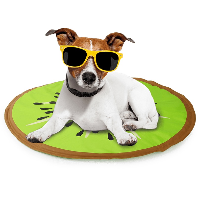 Afb Chill Out - Kiwi Cooling Mat