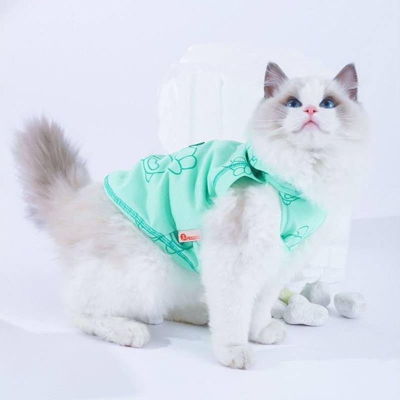 Bear Sleeveless Fashion Tank Top Green