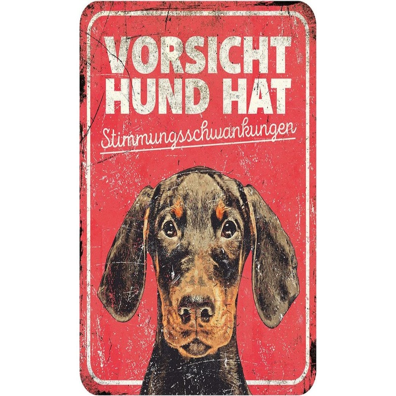 Warning Sign English 25X20X0,3Cm Multicolour