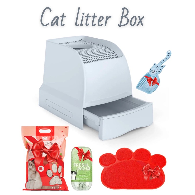 Cat Litter Box
