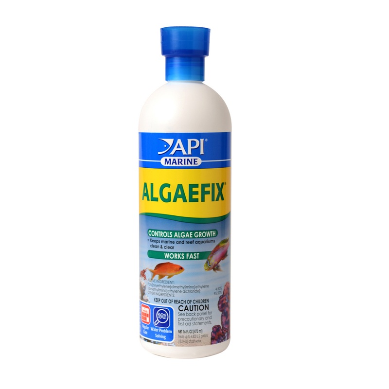 API Algaefix Marine 16 oz