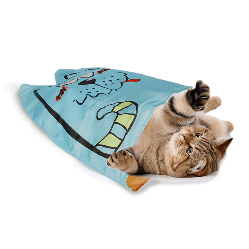 AFP Catoon-Whimsical Cat Sack