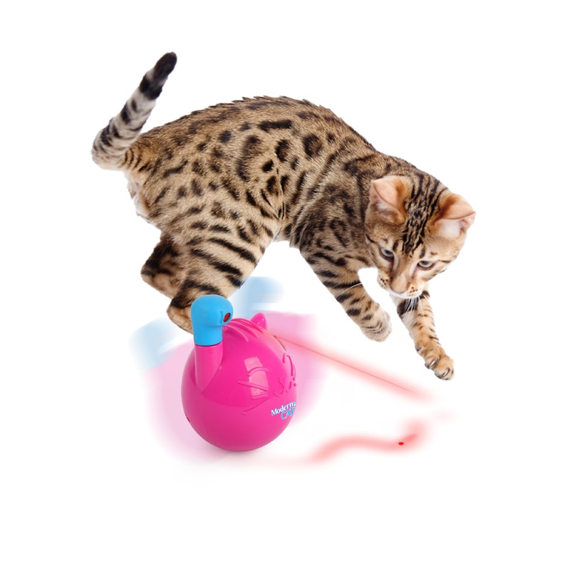 AFP Mordern Cat Wobble Laser Toy