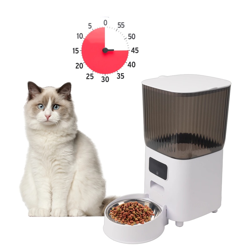 AFP Easy Feed -  Automatic Time Feeder
