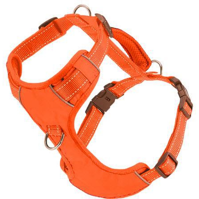 BAYDOG Harness Chesapeake Orange