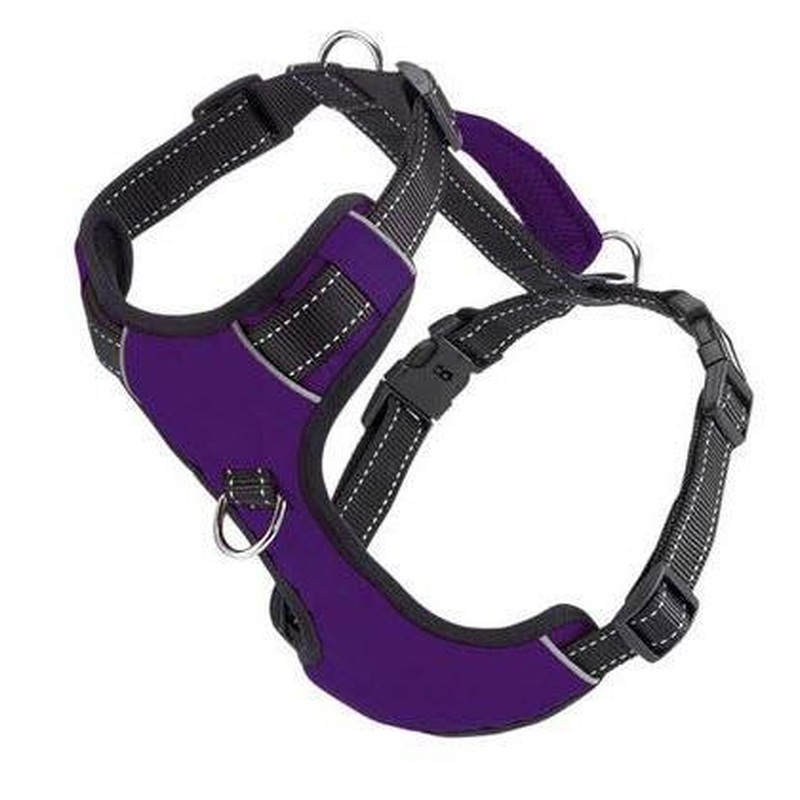 BAYDOG Harness Chesapeake Purple