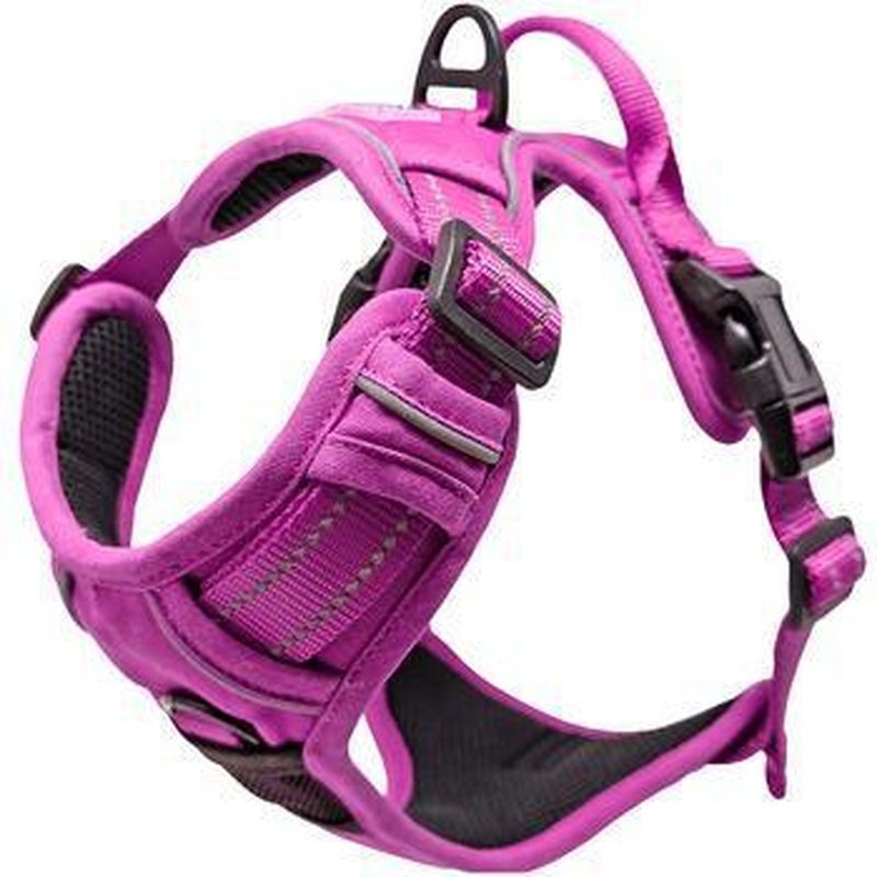 Wild Raspberry Venture Paw Harness Doggie Design