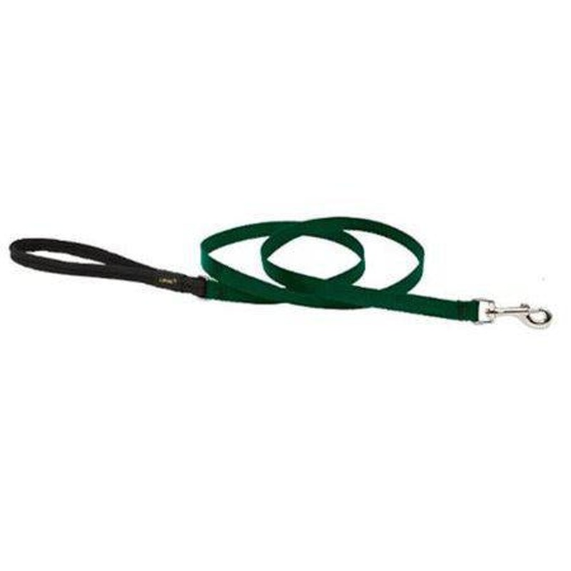 1/2in Green 6ft Leash, Lupine