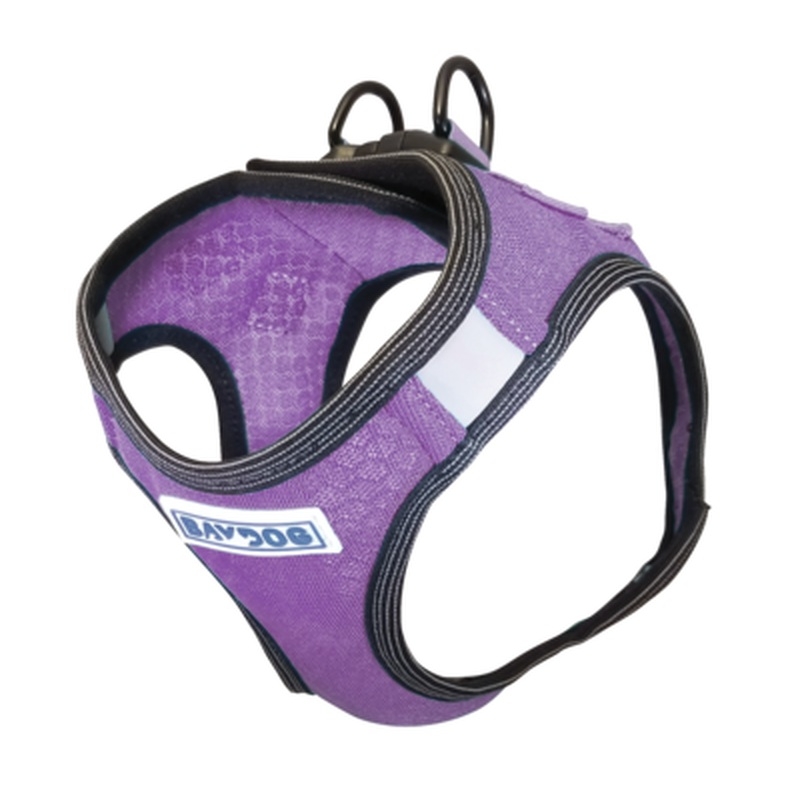 BayDog Liberty Bay Harness - Violet